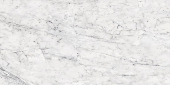 Vita Polished Rect 60x120